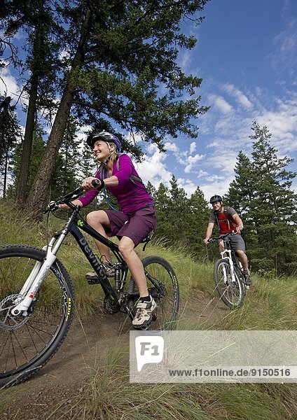 A family of mountain bikers enjoy the trails just North of Kamloops  Thompson Okanagan region  British Columbia  Canada