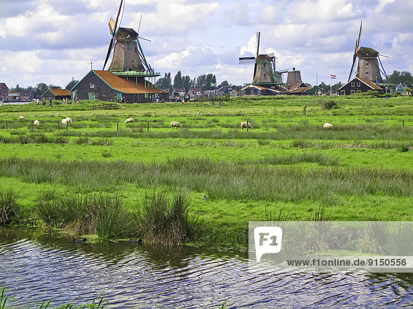 Windturbine Windrad Windräder nahe Geschichte Niederlande
