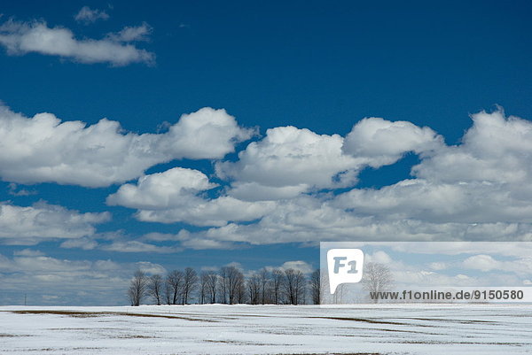 Early spring snow covered field in Severn Township  Simcoe County  Ontario  Canada