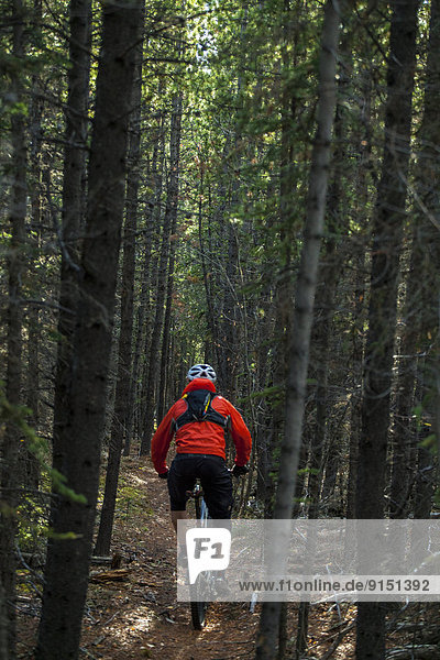 A male mountain biker enjoying perfect fall weather and singletrack in Whitehorse  Yukon
