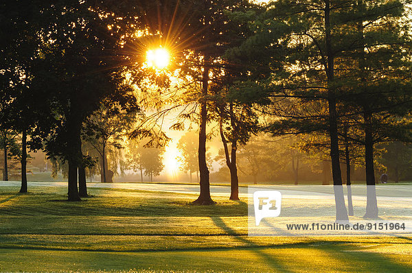 Fröhlichkeit  Hügel  Sonnenaufgang  Golfsport  Golf  Kanada  Kurs  Ontario