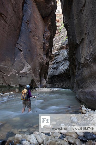 Hiker in The Narrows  Virgin River  Zion National Park  Utah  United States