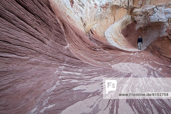Hiker in the sandstone formations at White Pocket  Pariah Canyon - Vermillion Cliffs Wilderness  Arizona  United States