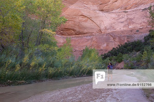 Hiker and fall foliage along a stream in Coyote Gulch  Grandstaircase-Escalante National Monument  Utah  United States