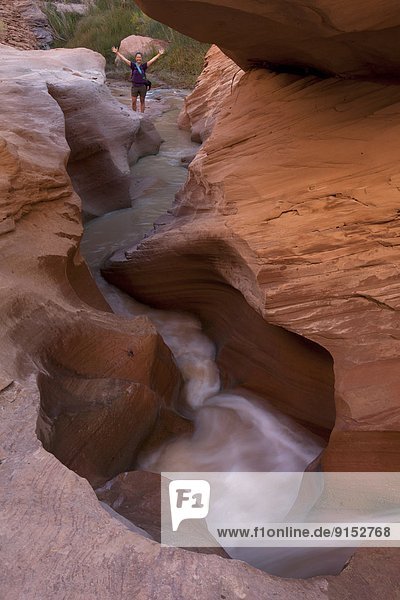 Hiker and stream in Coyote Gulch  Grandstaircase-Escalante National Monument  Utah  United States