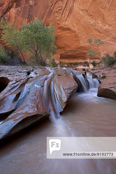 Waterfall in Coyote Gulch  Grandstaircase-Escalante National Monument  Utah  United States