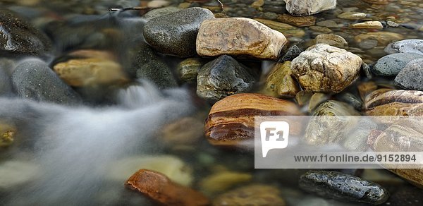 niedrig  Felsbrocken  Wasser  Sommer  Bach  Waterton Lakes Nationalpark  Alberta  Kanada