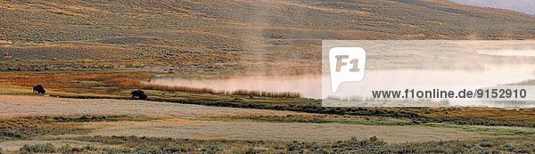 Vereinigte Staaten von Amerika  USA  Wyoming