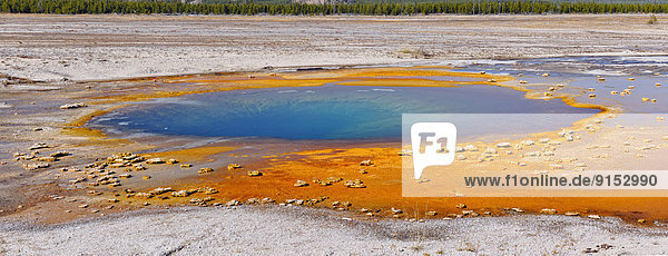 Vereinigte Staaten von Amerika  USA  Geysir  Mittelpunkt  Yellowstone Nationalpark  Wyoming