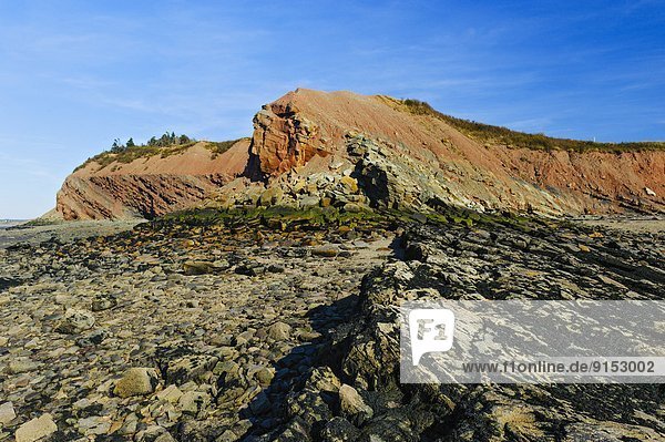 flirten  Steilküste  Wald  Gezeiten  UNESCO-Welterbe  Bucht  Kanada  Kohle  Fossil  Million  Nova Scotia  Neuschottland