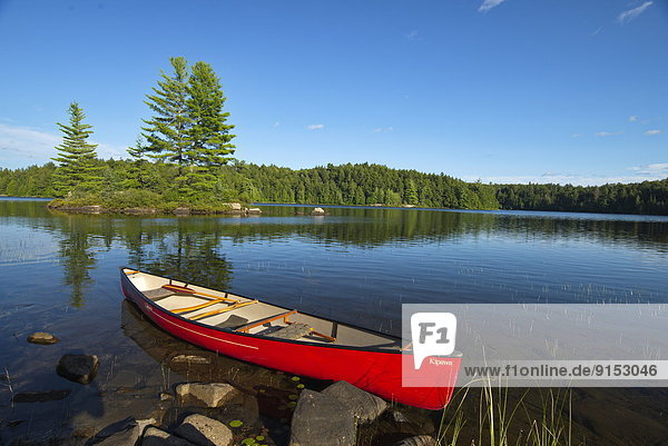 Red Canoe on Little Island lake  Algonquin Park  Ontario