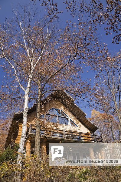 Lifestyle Wohnhaus Baum Herbst Nachbarschaft Kanada Quebec