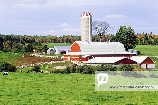 Farm  Old Barns  Nova Scotia  Canada
