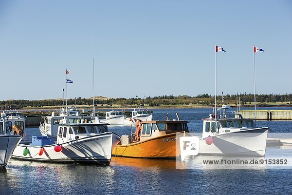 Fishing boats tied up at Red Head Harbour  Morell  Prince Edward Island  Canada