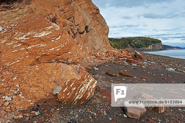 niedrig  Felsbrocken  Gezeiten  rot  Entdeckung  Sedimentgestein  Bucht  Bluff  Kanada  Dinosaurier