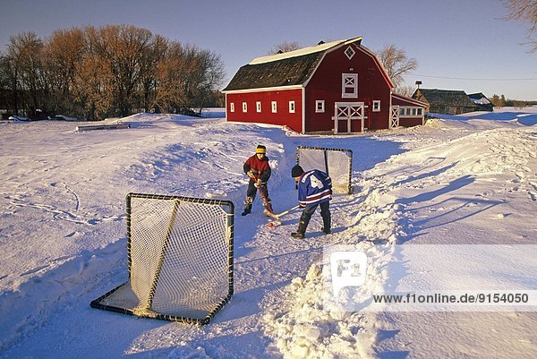 boys playing hockey in front of a red barn   near Oakbank  Manitoba  Canada