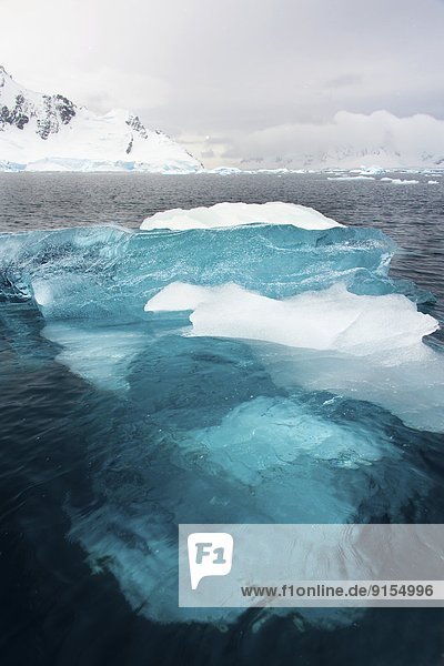 Paradise Bay  Antarctic Peninsula