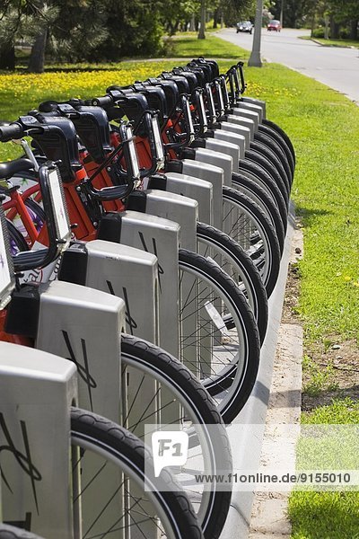 Ottawa  Hauptstadt  Transport  fahren  parken  öffentlicher Ort  Fahrrad  Rad  Königin  Frühling  Kanada  Ontario