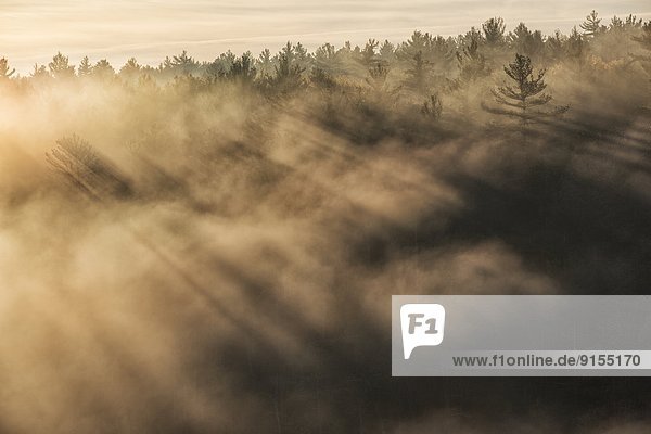 heben  aufwärts  Dunst  glänzen  tief  Algonquin Provincial Park  Schlucht  Ontario  Sonne