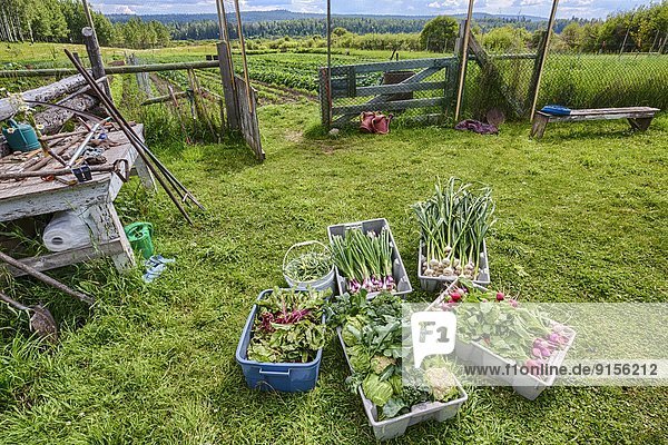 Landwirtschaft Pflanze Spezialität British Columbia Kanada