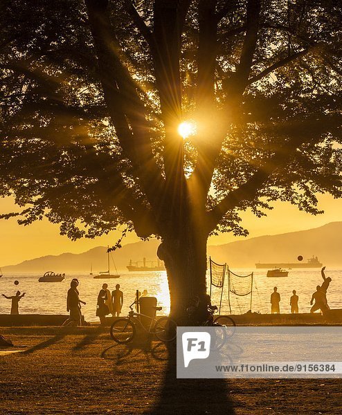 Kitsilano Beach at sunset  Vancouver  British Columbia  Canada