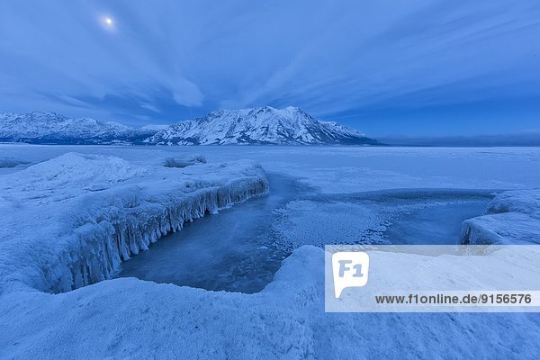 Berg  bedecken  Morgen  über  Schaf  Ovis aries  See  Eis  früh  Mond  Stück  Stunde  Kluane Nationalpark  Yukon