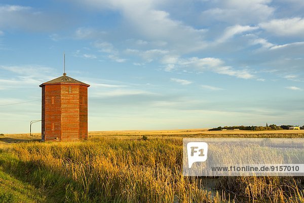Wooden grain Elevator  Wartime  Saskatchewan  Canada