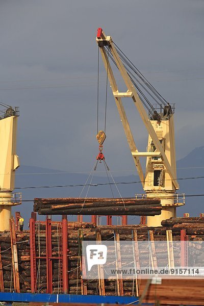Loading raw logs onto freighter  Nanaimo harbour  Vancouver Island  British Columbia  Canada