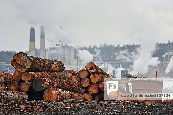 Logs in sorting yard with pulp mill in background  Nanaimo  Vancouver Island  BC  Canada