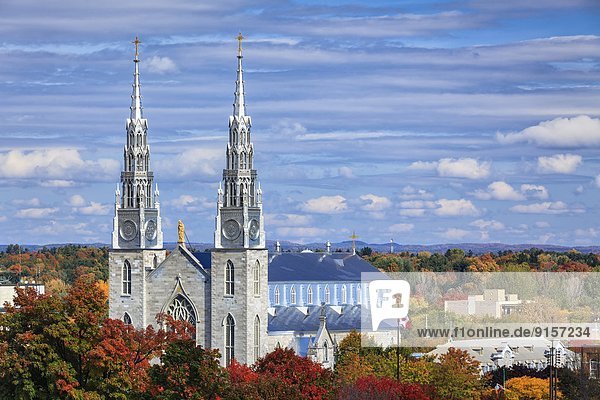 Notre-Dame Cathedral Basilica  Ottawa  Ontario  Canada