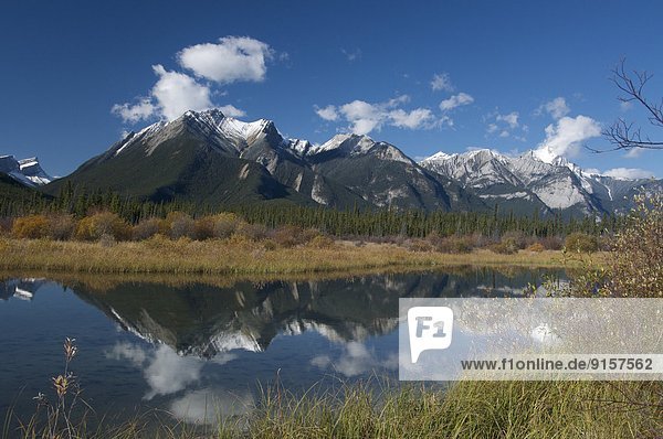 Scenic of Rocky Mountains along Hwy. 16 (Yellowhead Highway)  Jasper National Park  Alberta  Canada.