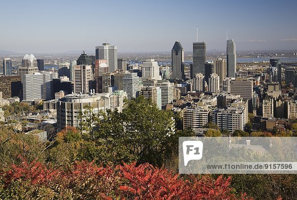 Skyline  Skylines  nehmen  Monarchie  Herbst  Berg  Kanada  Aussichtspunkt  Montreal  Quebec