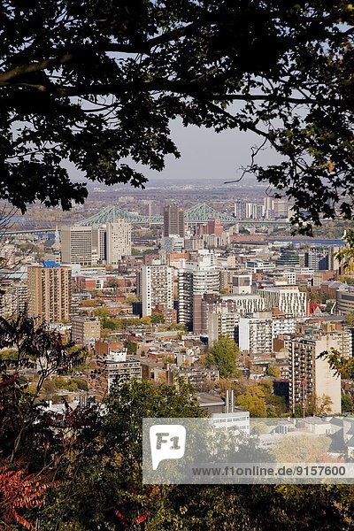 Montreal Skyline And Jacques Cartier Bridge Taken From The Lookout On Mount Royal Park In Autumn Montreal Quebec Canada