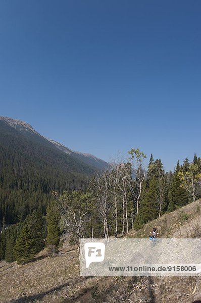 Mountain bike touring in Gun Creek. Spruce Lake Protected Area. South Chilcotin Mountains. British Columbia  Canada