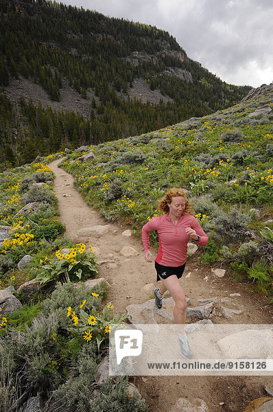 Woman trail running the Middle Fork Falls trail in Sinks Canyon. Lander  Wyoming. USA