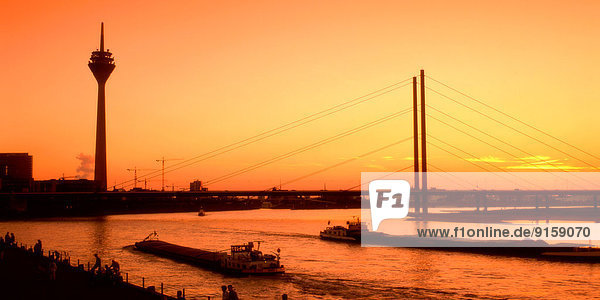 Rhein  Rheinkniebrücke und Rheinturm bei Sonnenuntergang  Düsseldorf  Deutschland