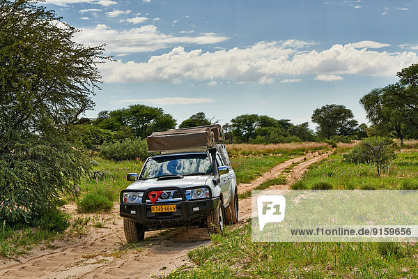 Geländewagen im Kgalagadi-Transfrontier-Park  Kalahari  Südafrika  Botswana