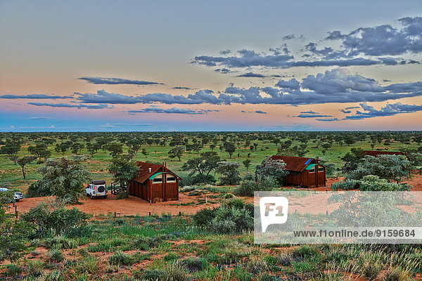 Kgalagadi-Transfrontier-Park  Kalahari  Südafrika  Botswana