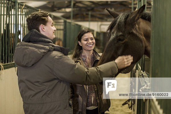 Glückliches junges Paar streichelndes Pferd im Stall