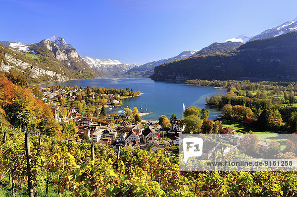 Herbst Ansicht Schweiz Walensee