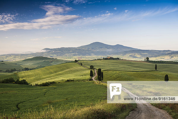 Landschaft mit Hügeln und Zypressen  Morgenlicht  Val d'Orcia  UNESCO Weltkulturerbe  bei Pienza  Provinz Siena  Toskana  Italien