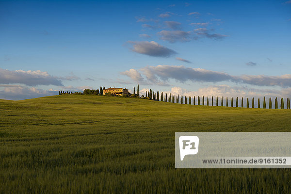 Wohngebäude Baum Landschaft Hügel Abenddämmerung UNESCO-Welterbe Italien Toskana Val d'Orcia Provinz Siena