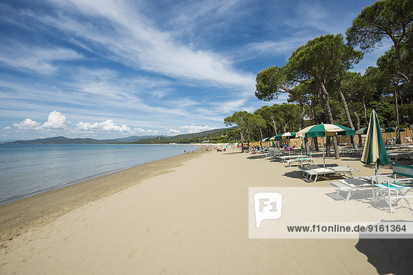 Deck chairs on the beach  Punta Ala  near Castiglione della Pescaia  Province of Grosseto  Tuscany  Italy