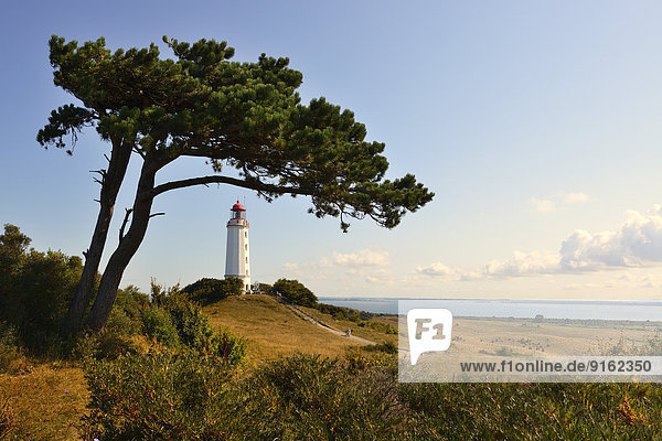Dornbusch lighthouse  Baltic Sea  Hiddensee Island  Mecklenburg-Western Pomerania  Germany