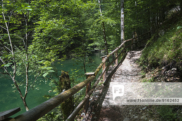 Wanderweg im Mendlingtal  Mendlingbach  Göstling an der Ybbs  Niederösterreich  Österreich