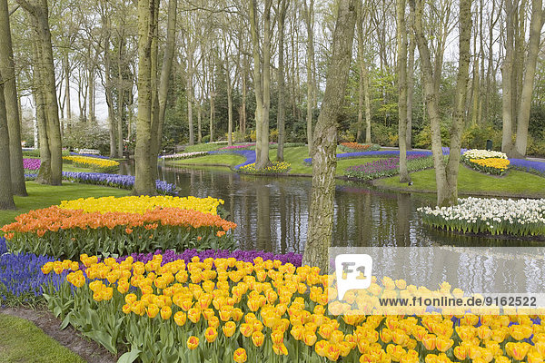 Bunte Blumenbeete mit Wasserlauf in Park  Keukenhof  Lisse  Niederlande