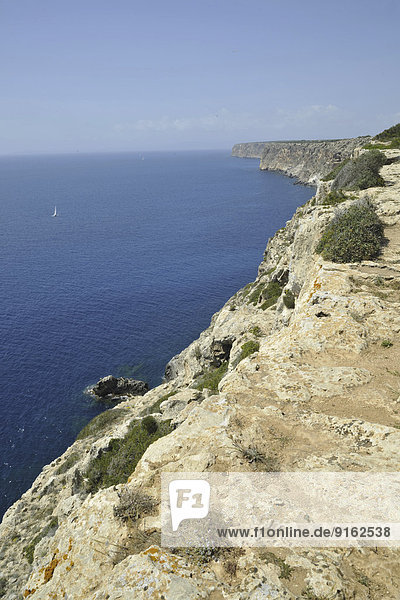 Cliff  Cap Blanc  Majorca  Balearic Islands  Spain