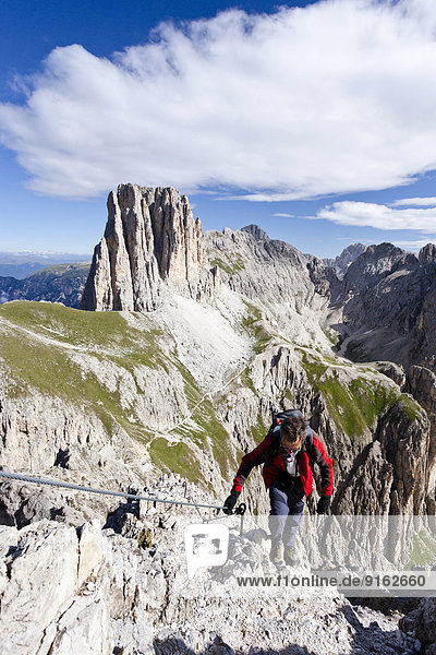 Bergsteiger beim Aufstieg auf die Rotwand in der Rosengartengruppe über den Rotwandklettersteig  unten der Vaiolonpass  hinten die Tscheinerspitzen  Dolomiten  Südtirol  Italien