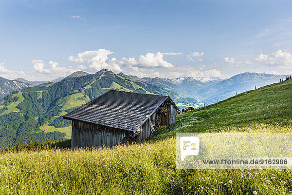 Alpine meadow in front of a hut  Brixen Im Thale  Tyrol  Austria