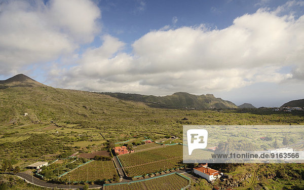 Fruchtbare Hochebene Weinberge erloschene Vulkankegel bei Santiago del Teide Teneriffa Kanarische Inseln Spanien